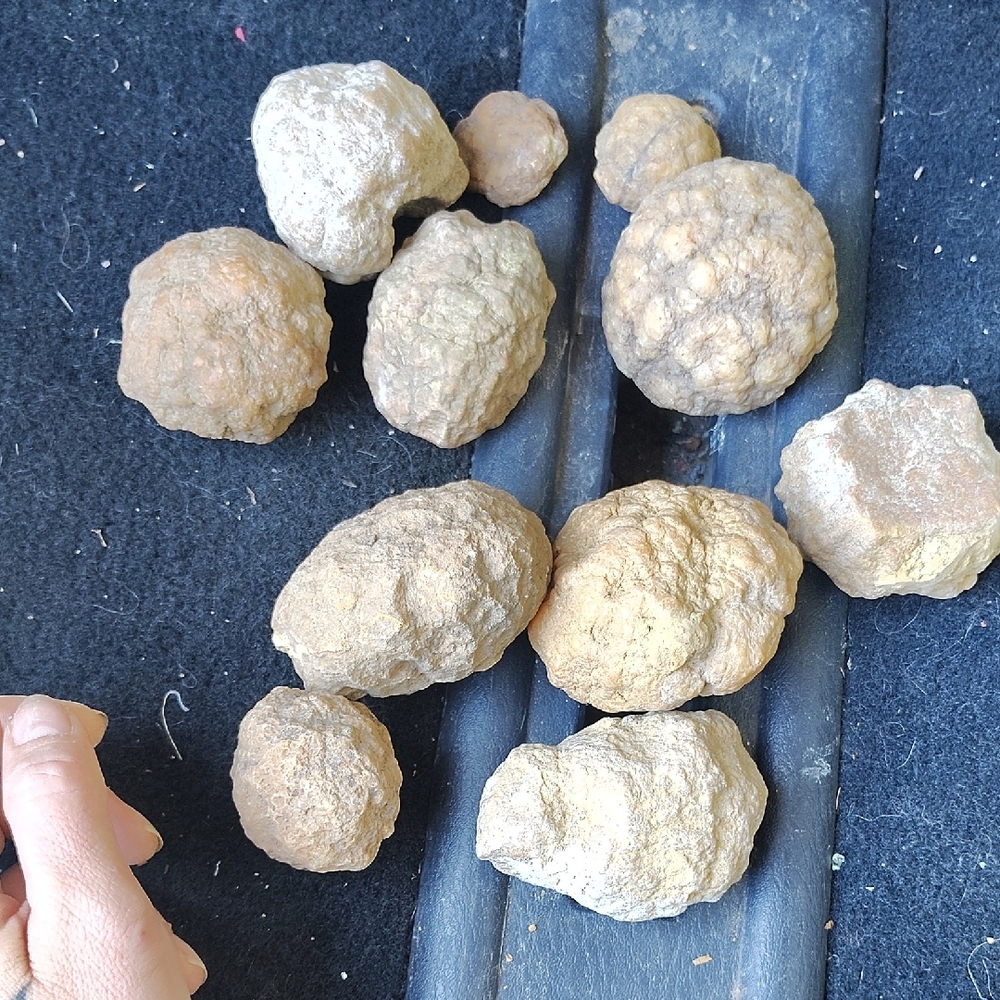 Geodes - Picture 2 of 6
